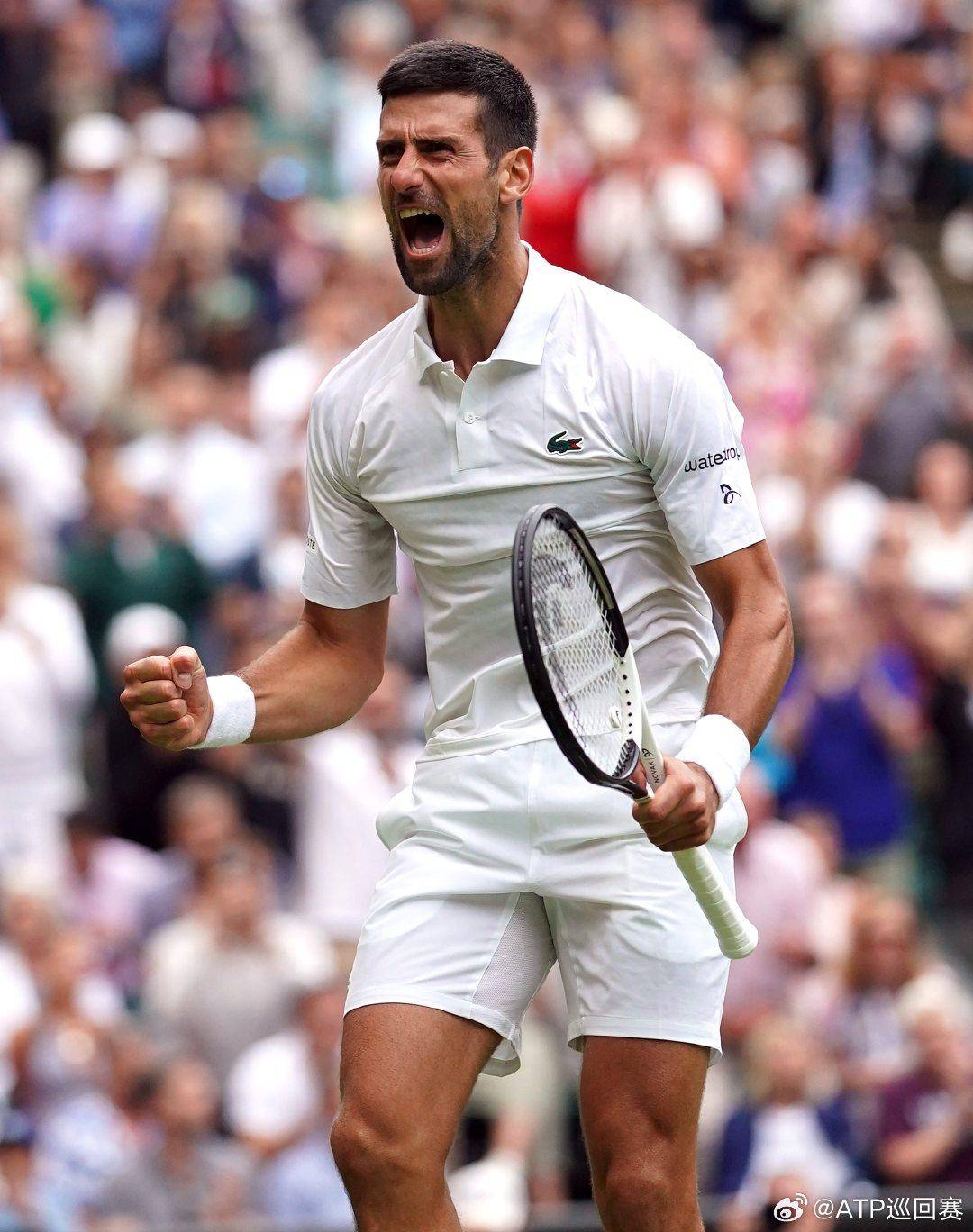 显著提高 显著提高