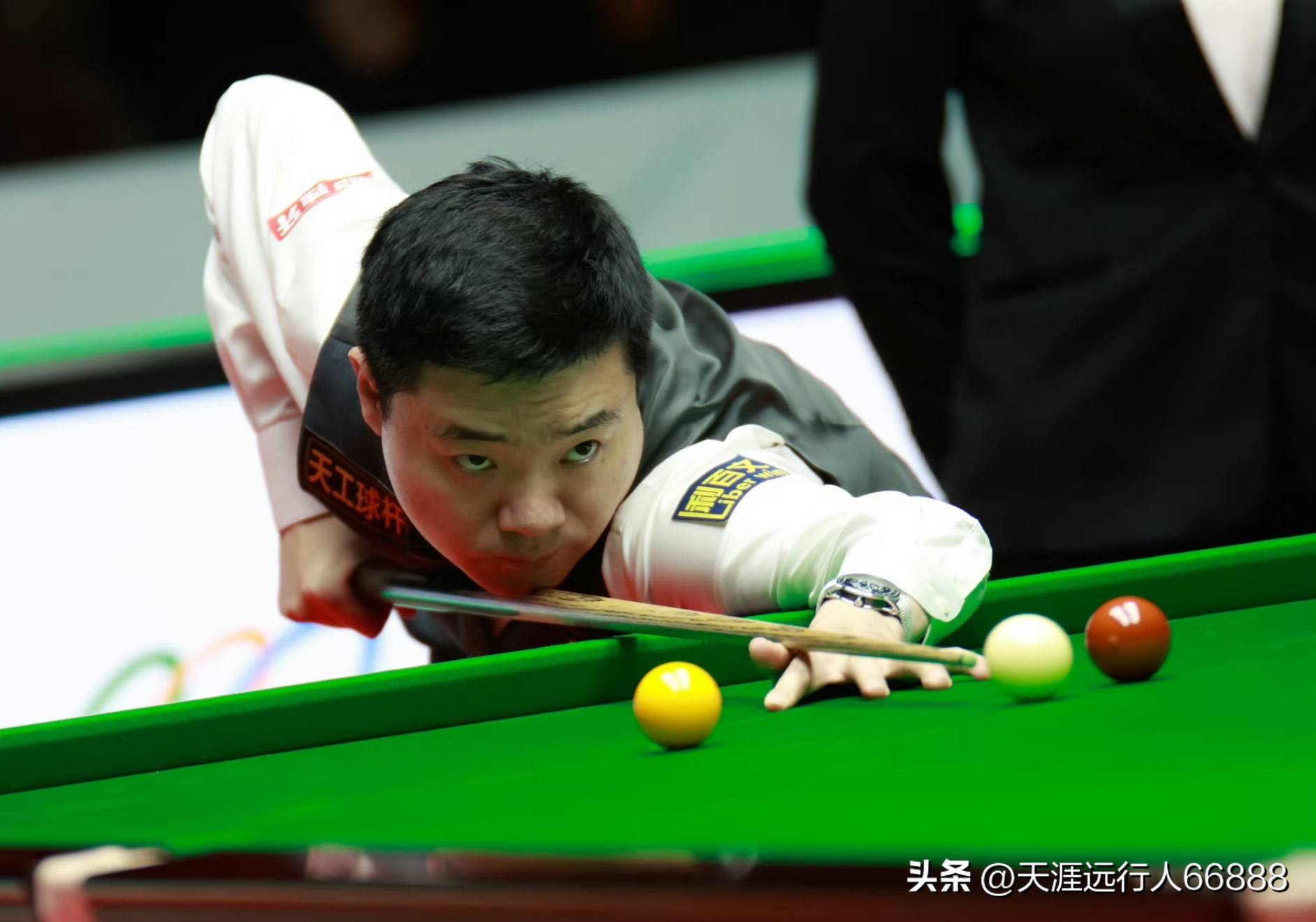 她在场上赢 她在场上赢