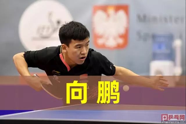 迈阿密国际 迈阿密国际